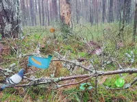 Bernati Forest Adventure image