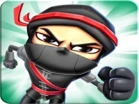 Ninja Runs 3D image