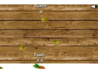fruit Shoot image