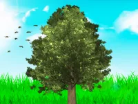 My tree image