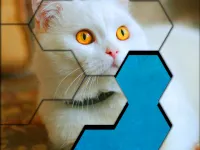 Blocks Hexa Jigsaw Puzzle™ image