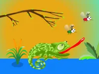 Hungry Chameleon image