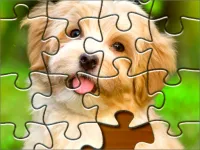 Jigsaw Puzzle 2020 image