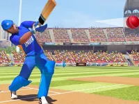 Cricket World Cup image