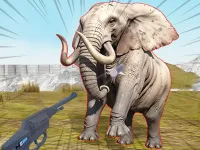 image Zoo Anomaly Simulation