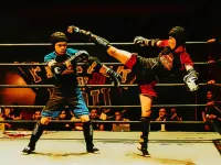 Fighters in the Ring image
