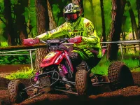 ATV Quad Bike Racing image