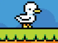 image Duck Shift