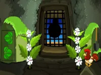 Hen Family Rescue Series 1 image