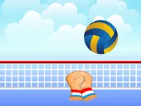 Volleyball image