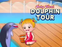 Baby Hazel Dolphin Tour image