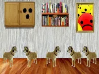 Dog Room Escape image