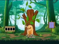 fawn escape image