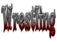 wrestling fight go image