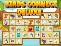 Birds Connect Deluxe image