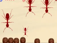 Smash All Ants image
