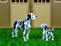 Domestic Animals Jigsaw image