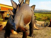 Stegosaurus Dinosaur Jigsaw image