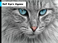 Cat Eye's Jigsaw image