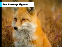 Fox Closeup Jigsaw image