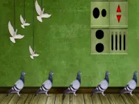 Pigeon Escape 2 image