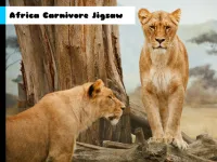 Africa Carnivore Jigsaw image