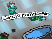 Catch From the Air! image